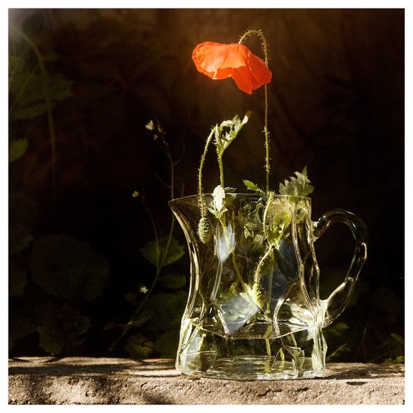 NEW - IKEA BASTUA Pitcher Clear Glass 51 oz 605.426.22 - Picture 2 of 4